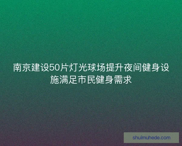 南京建设50片灯光球场提升夜间健身设施满足市民健身需求